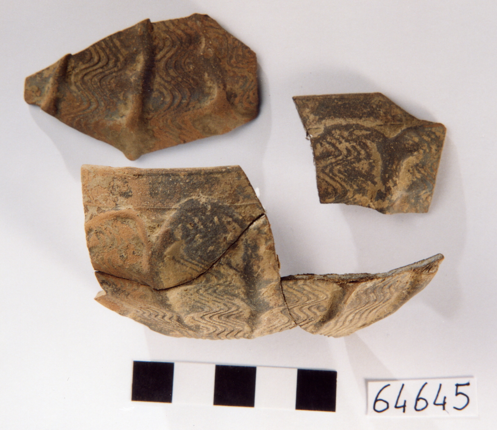 coppa/ frammenti, Marabini XXXVI (prima metà sec. I d.C)