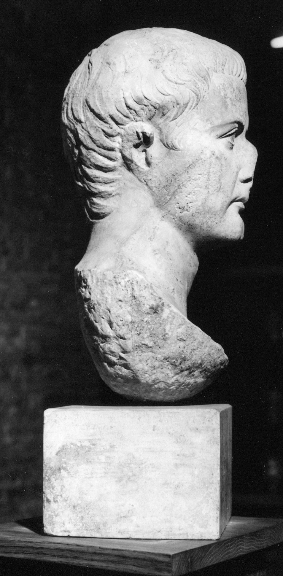 Tiberio (testa ritratto di statua, ritratto di Tiberio) - età giulio-claudia (prima metà sec. I d.C)