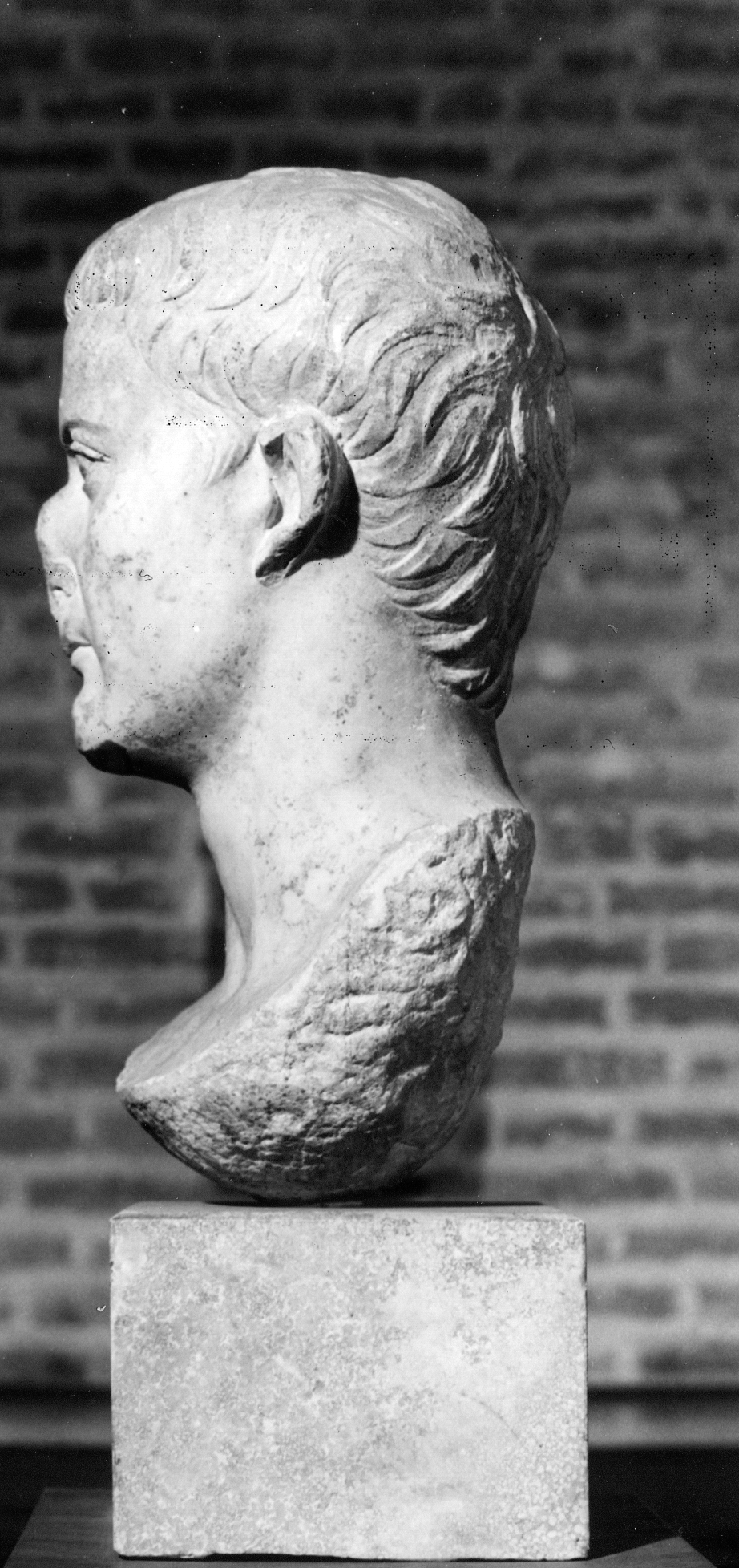 Tiberio (testa ritratto di statua, ritratto di Tiberio) - età giulio-claudia (prima metà sec. I d.C)