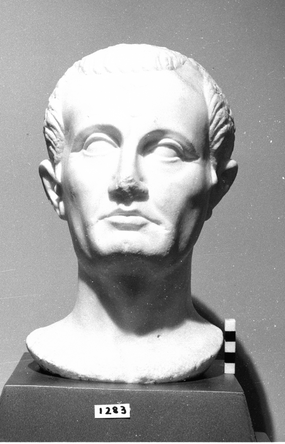 personaggio maschile (testa ritratto di statua) - età augustea-tiberiana (secondo quarto sec. I d.C)