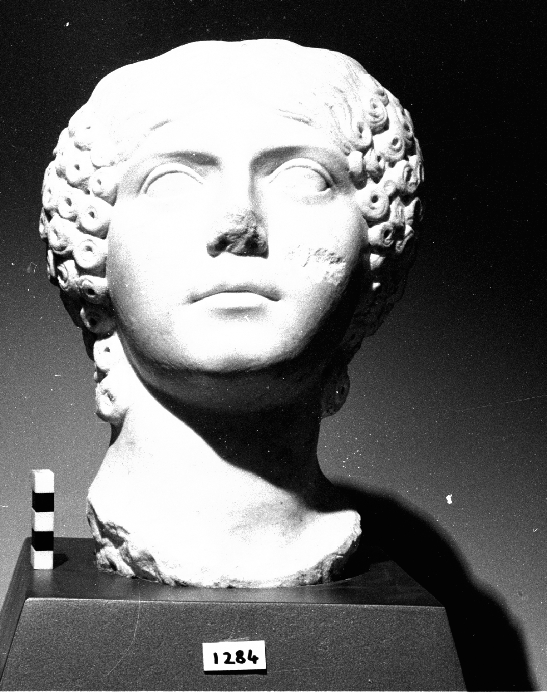 figura femminile (testa ritratto di statua) - età giulio-claudia (metà sec. I d.C)