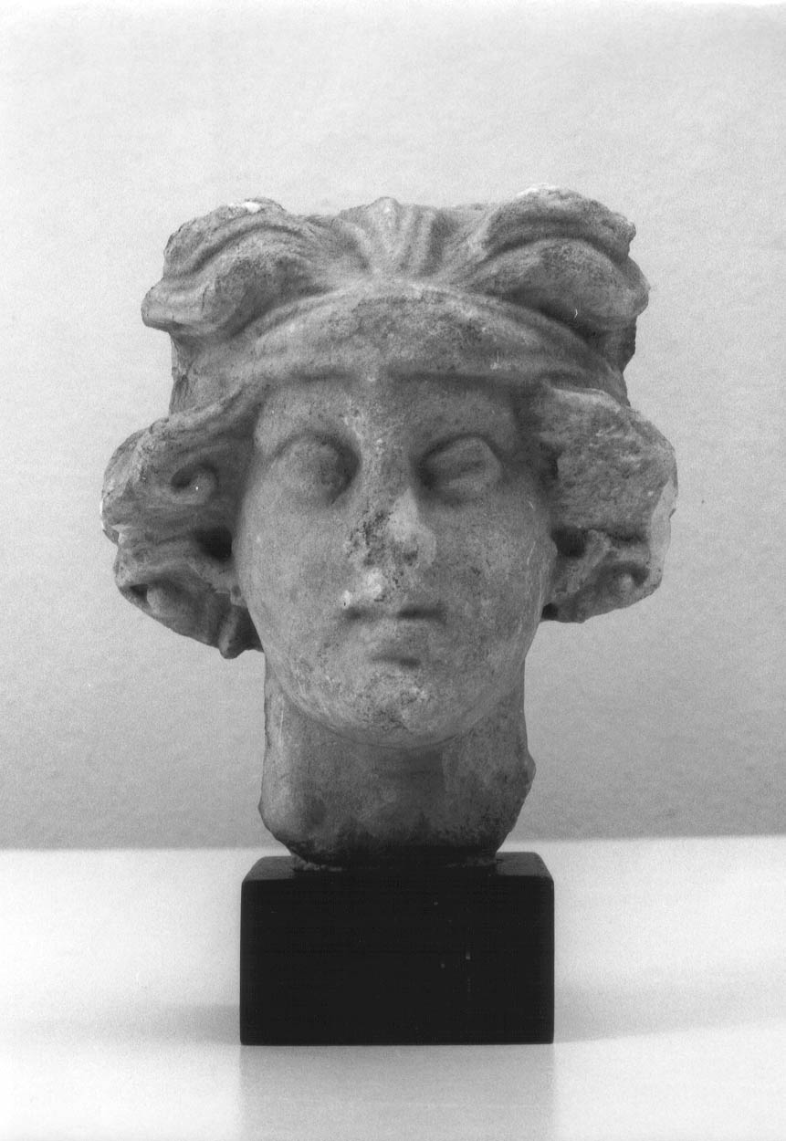 Dioniso imberbe (testa) - prima età imperiale (inizio/fine sec. I d.C)