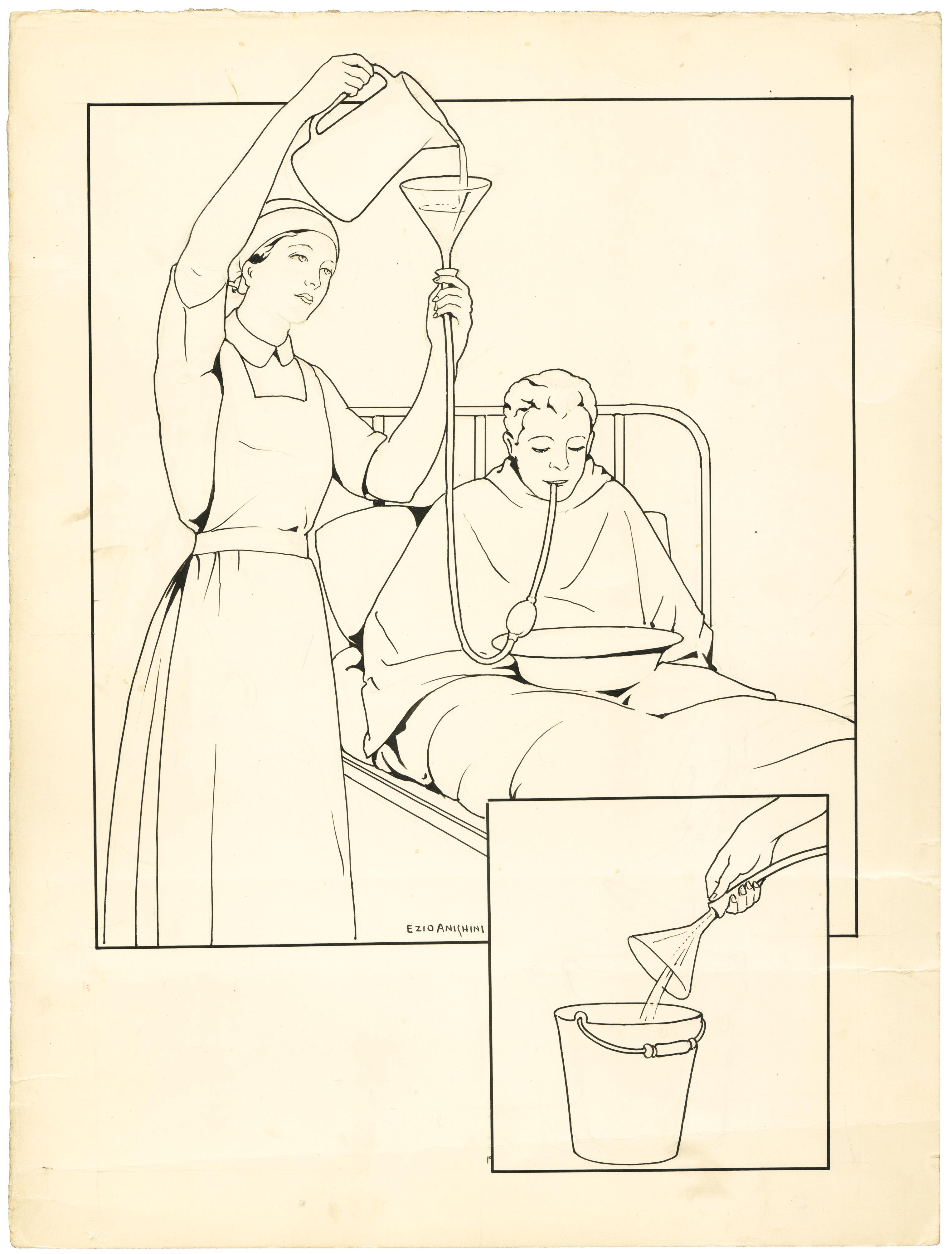lavanda gastrica (disegno) di Anichini Ezio (secondo quarto sec. XX)