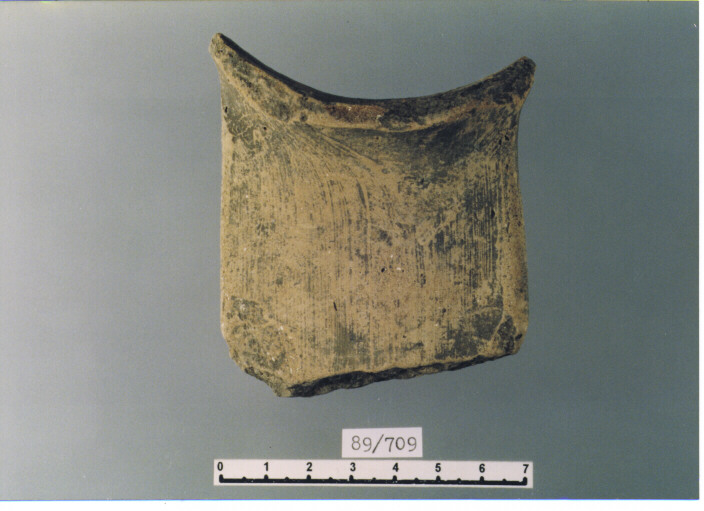 ANSA (SECC. XI/ XII D.C)