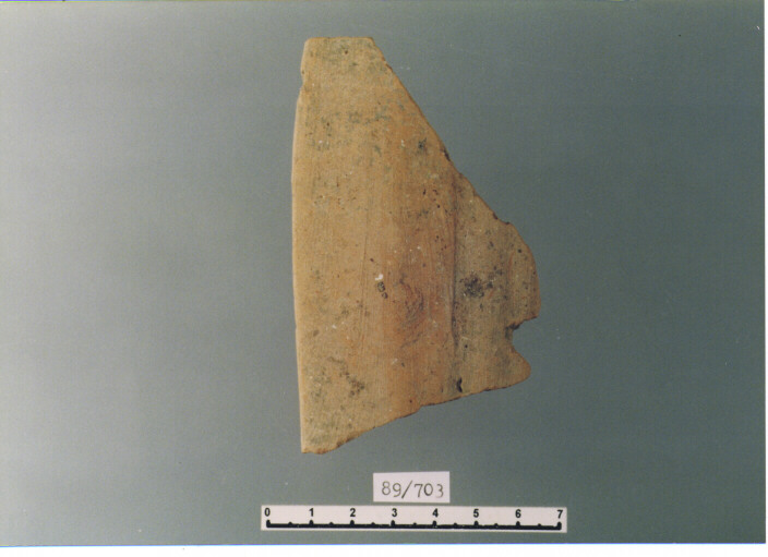 ANSA (SECC. XI/ XII D.C)