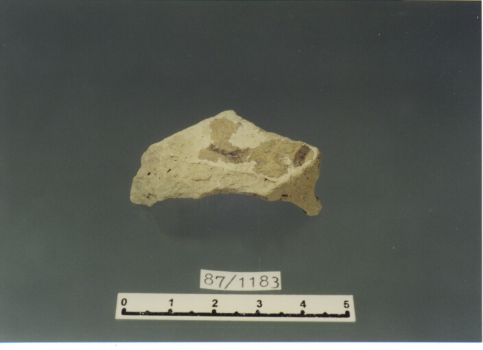 coppa/ fondo - PRODUZIONE ITALIA CENTRO SUD (SECC. XII/ XIII D.C)