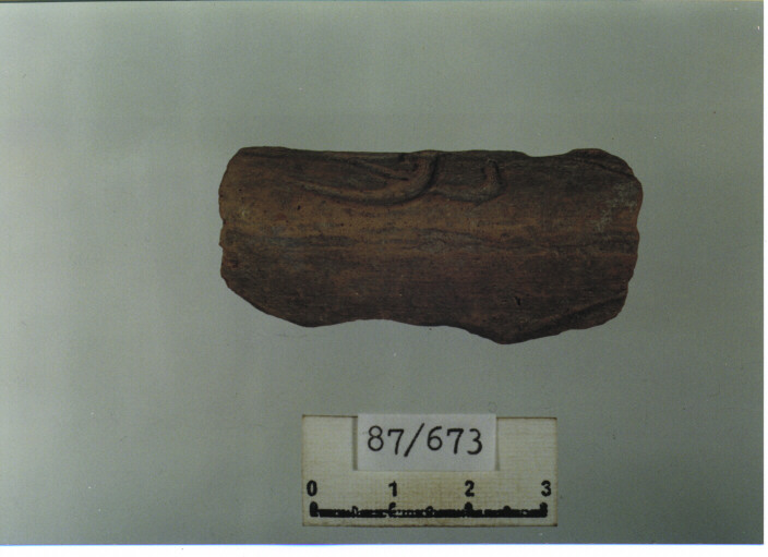 catino/ orlo (secc. XIV/ XV d.C)