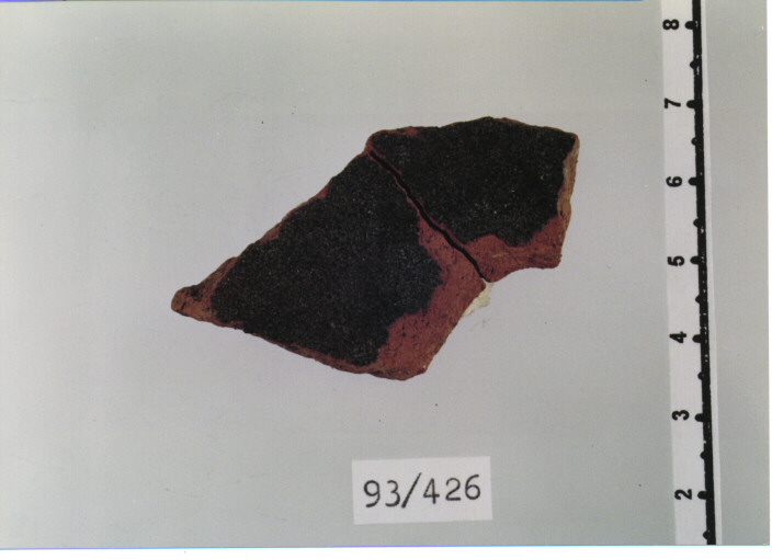 ciotola/ parete (SECC. XII/ XIII D.C)