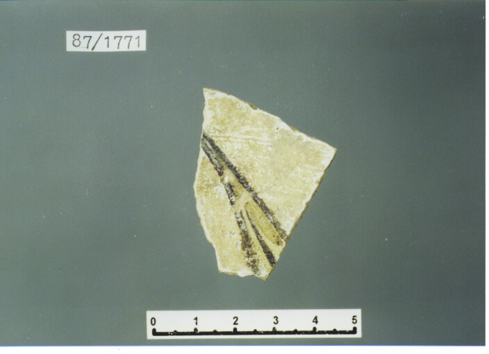 coppa/ parete - PRODUZIONE ITALIA CENTRO SUD (SECC. XIII/ XIV D.C)