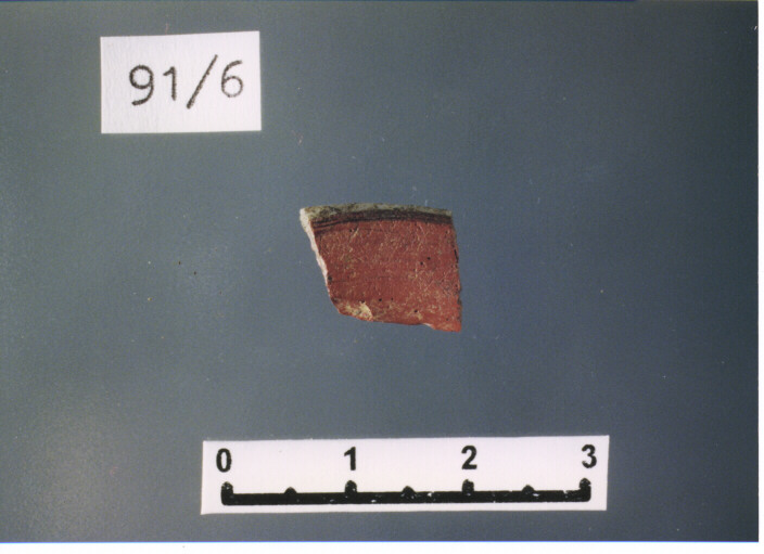 coppa/ orlo, MARABINI, TIPO XX - PRODUZIONE ITALIA CENTRO SUD (secc. I a.C./ I d.C)