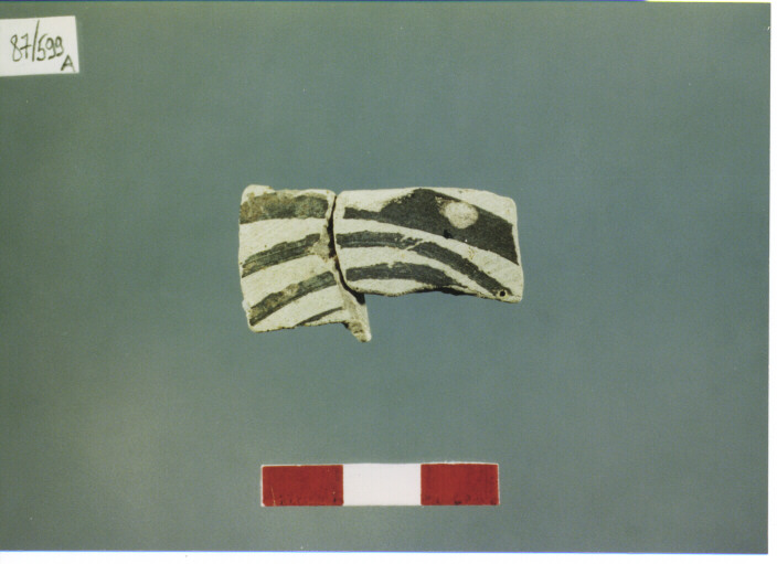 parete - PRODUZIONE ITALIA CENTRO SUD (SECC.XIII/XIV D.C)