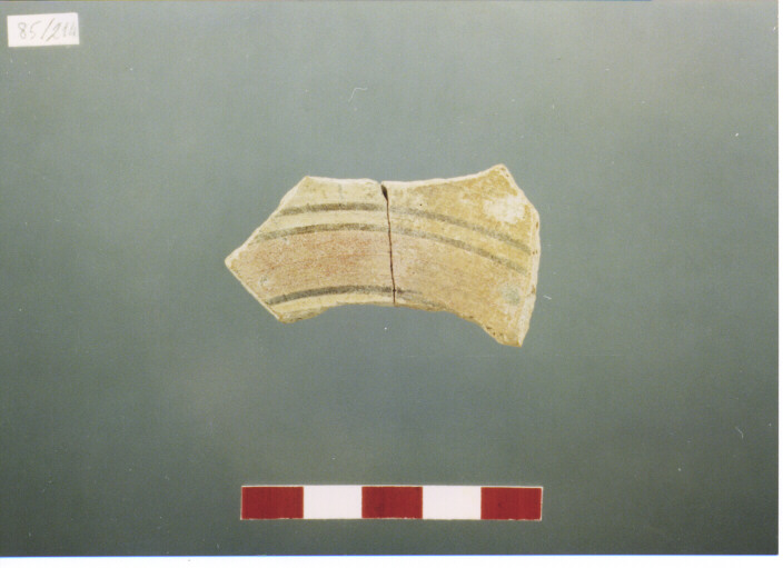 coppa/ parete - PRODUZIONE ITALIA CENTRO SUD (SECC. XIII/ XIV D.C)