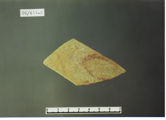 parete - PRODUZIONE ITALIA CENTRO SUD (SEC. XIII D.C)