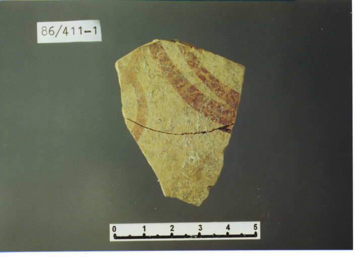 parete - PRODUZIONE ITALIA CENTRO SUD (SEC. XIII D.C)