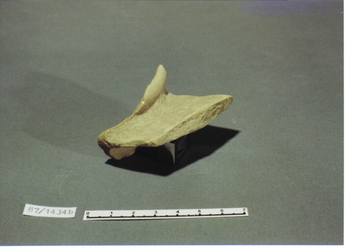 ANSA - PRODUZIONE ITALIA CENTRO SUD (SECC. XI/XIII D.C)