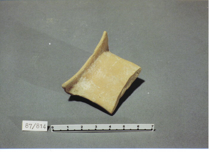 orlo - PRODUZIONE ITALIA CENTRO SUD (SEC. XIII D.C)