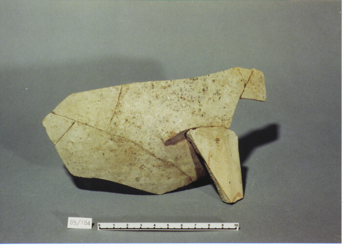 anfora/ parete - PRODUZIONE ITALIA CENTRO SUD (SEC. XIII D.C)