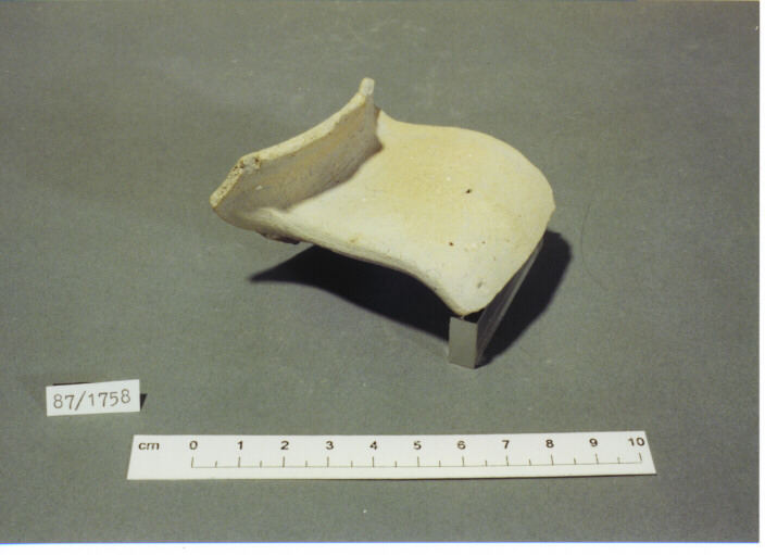 anfora/ orlo - PRODUZIONE ITALIA CENTRO SUD 