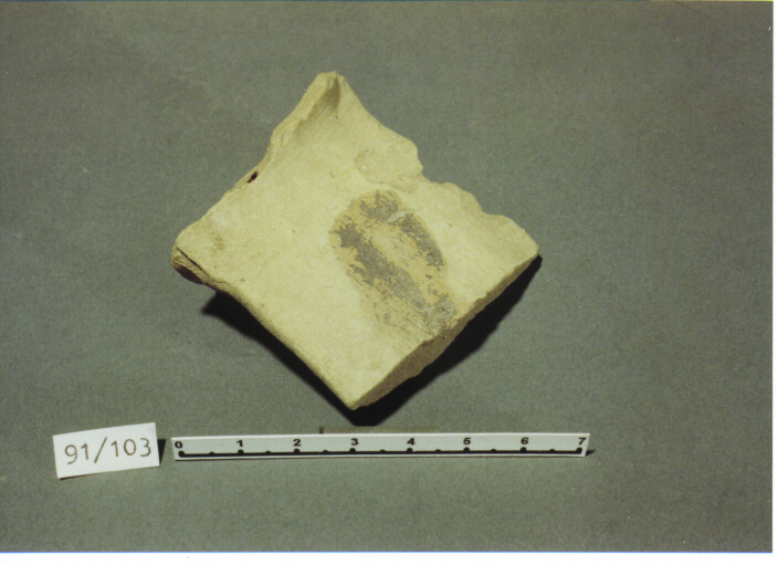 Ansa - PRODUZIONE ITALIA CENTRO SUD (SEC. XIII D.C)