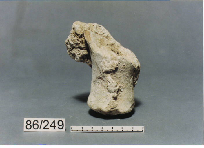 anfora/ puntale, DRESSEL, TIPI 2-4 - PRODUZIONE ITALIA CENTRO SUD (secc. I a.C./ II d.C)