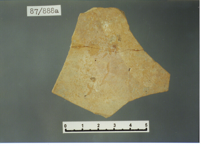 parete - PRODUZIONE ITALIA CENTRO SUD (SECC. XI/ XII D.C)