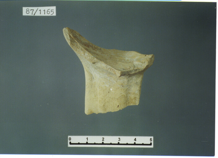 brocca/ ansa - PRODUZIONE ITALIA CENTRO SUD (secc. IX/ X d.C)