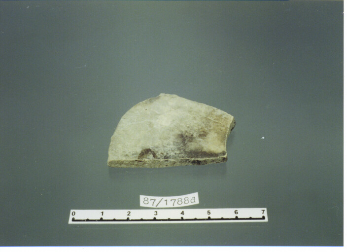 olla/ fondo - PRODUZIONE ITALIA CENTRO SUD (secc. IX/ X d.C)