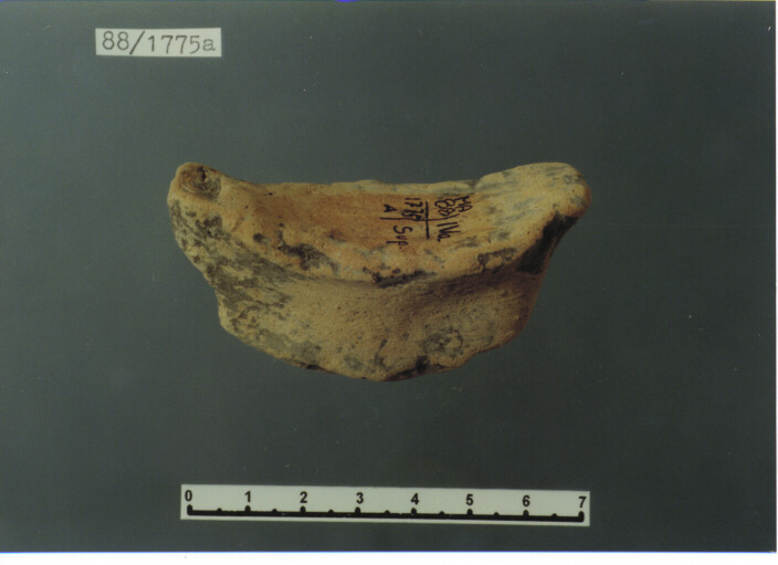 anfora/ ansa - PRODUZIONE ITALIA CENTRO SUD (SEC. XIII D.C)