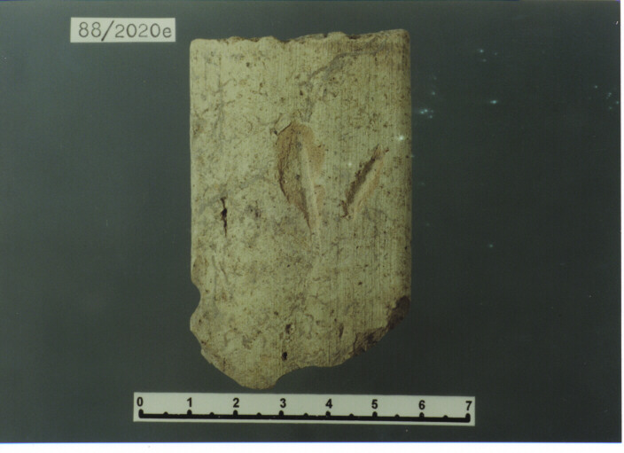 anfora/ ansa - PRODUZIONE ITALIA CENTRO SUD (SEC. XIII D.C)