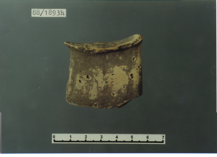 anfora/ ansa - PRODUZIONE ITALIA CENTRO SUD (SEC. XIII D.C)