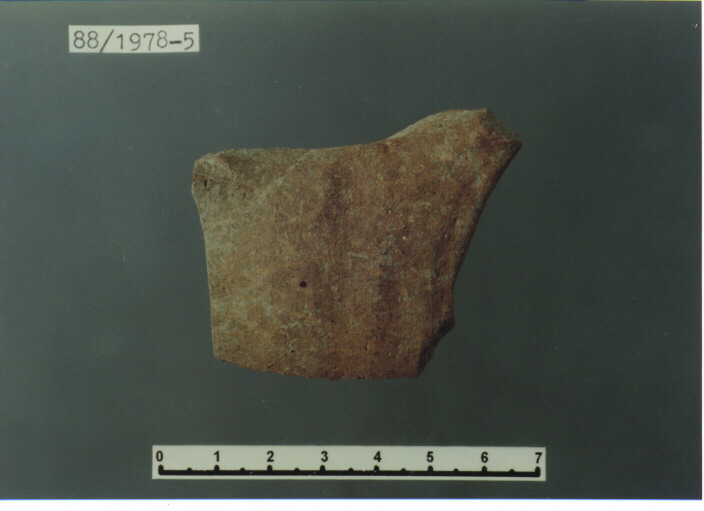 ANSA - PRODUZIONE ITALIA CENTRO SUD (SECC. XIII/ XIV D.C)