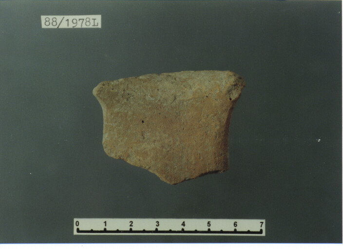 ANSA - PRODUZIONE ITALIA CENTRO SUD (SECC. XIII/ XIV D.C)