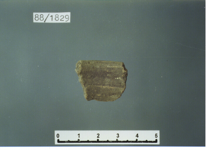 olla/ orlo - PRODUZIONE ITALIA CENTRO SUD (SECC. XIII/ XIV D.C)