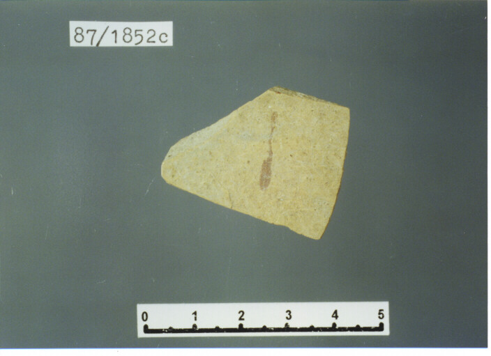 parete - PRODUZIONE ITALIA CENTRO SUD (SECC. XII/ XIII D.C)