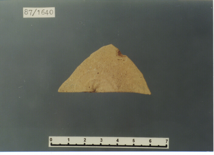 lucerna/ fondo - PRODUZIONE ITALIA CENTRO SUD 