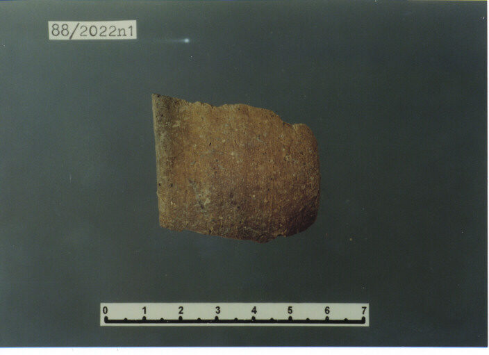 olla/ ansa - PRODUZIONE ITALIA CENTRO SUD (SEC. XIV D.C)