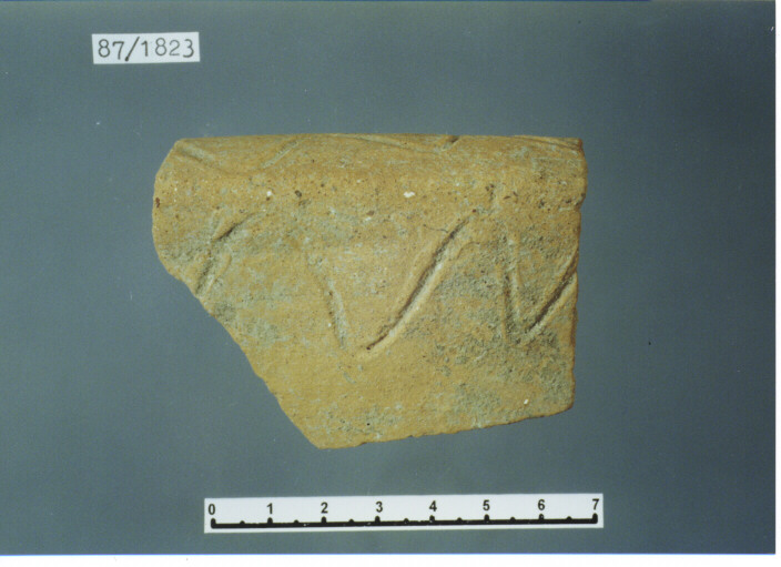 testo da pane/ orlo - PRODUZIONE ITALIA CENTRO SUD (SEC. XII D.C)