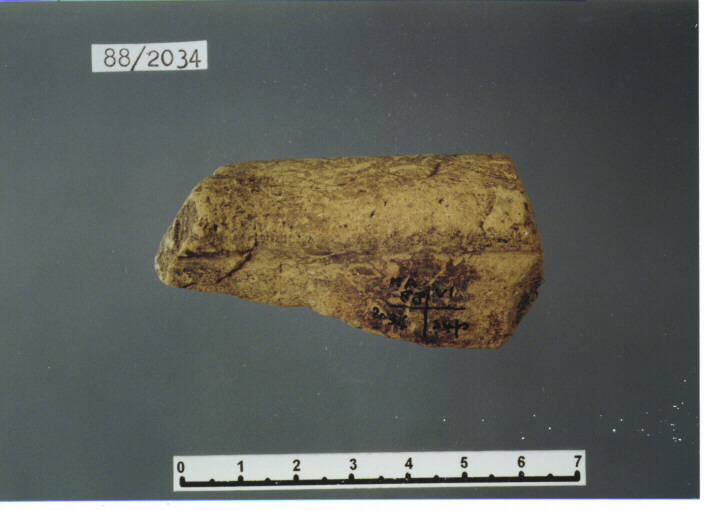 catino/ orlo - PRODUZIONE ITALIA CENTRO SUD (secc. XIV/ XV d.C)