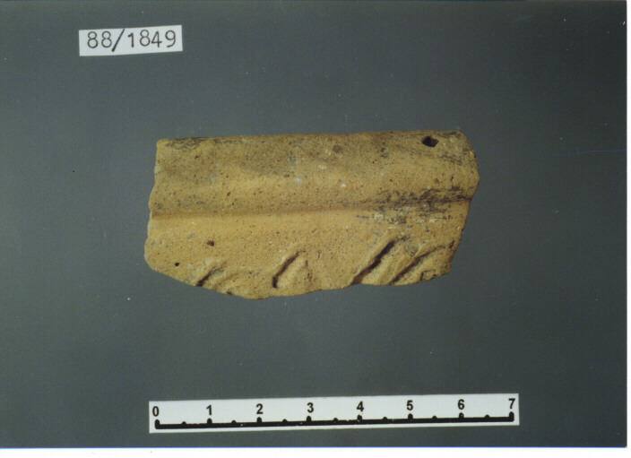 catino/ orlo - PRODUZIONE ITALIA CENTRO SUD (secc. XIV/ XV d.C)