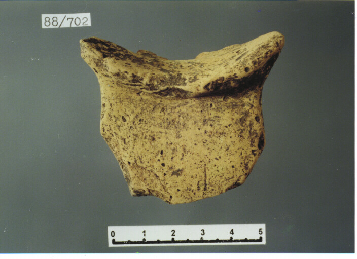 ANSA - PRODUZIONE ITALIA CENTRO SUD (SEC. XIII D.C)