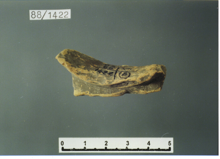 anfora/ ansa - PRODUZIONE ITALIA CENTRO SUD (SECC. XII/XIV D.C)