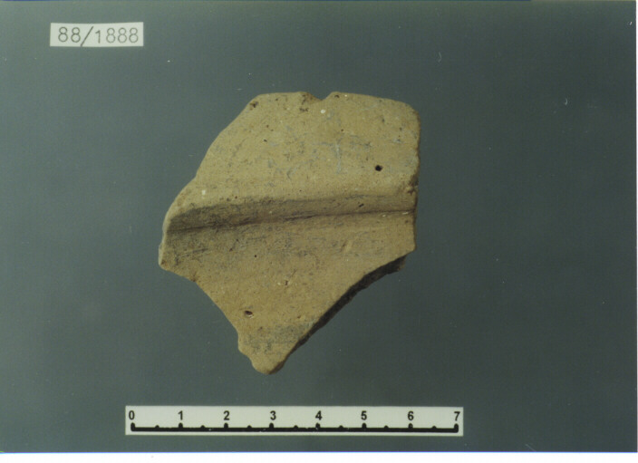 catino/ orlo - PRODUZIONE ITALIA CENTRO SUD (secc. XIV/ XV d.C)