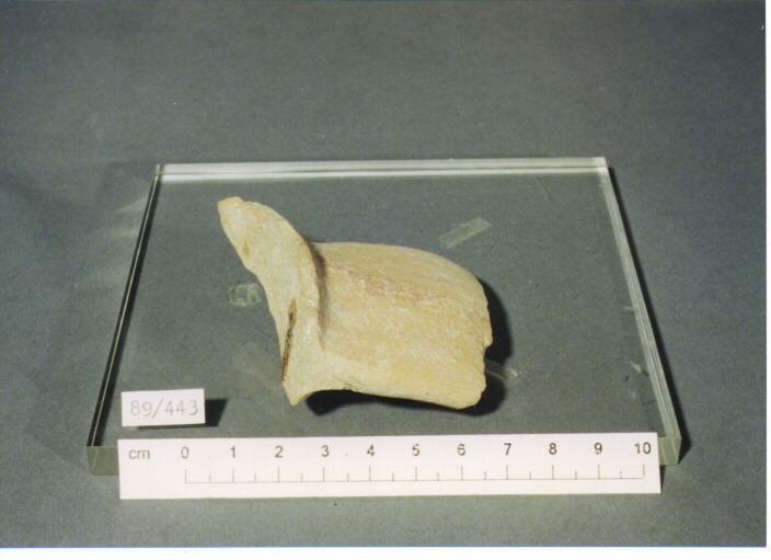 ansa - PRODUZIONE ITALIA CENTRO SUD (SECC. XI/XIII D.C)