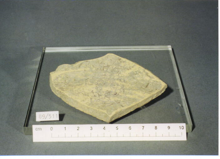 FONDO - PRODUZIONE ITALIA CENTRO SUD (SECC. XI/XIII D.C)