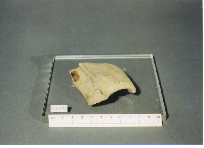 ANSA - PRODUZIONE ITALIA CENTRO SUD (SECC. XI/XIII D.C)