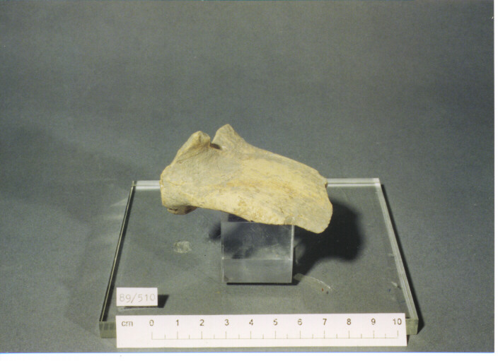 ANSA - PRODUZIONE ITALIA CENTRO SUD (SECC. XI/XIII D.C)