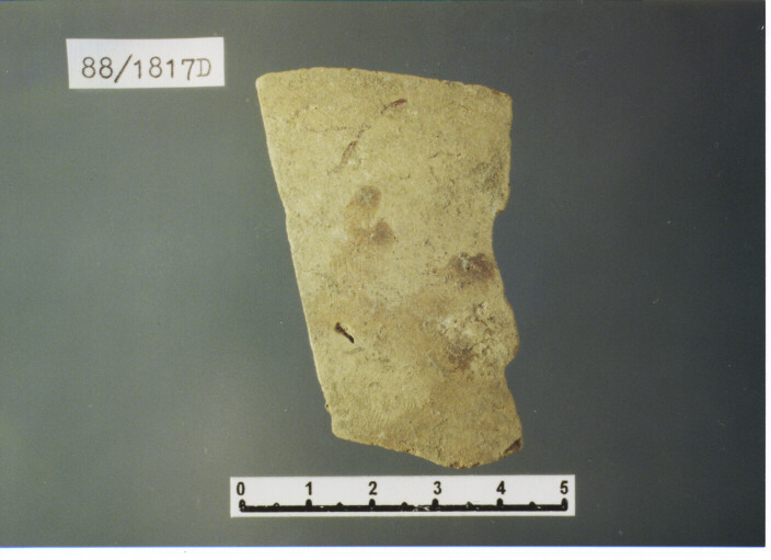 parete - PRODUZIONE ITALIA CENTRO SUD (SECC. XI/XIII D.C)