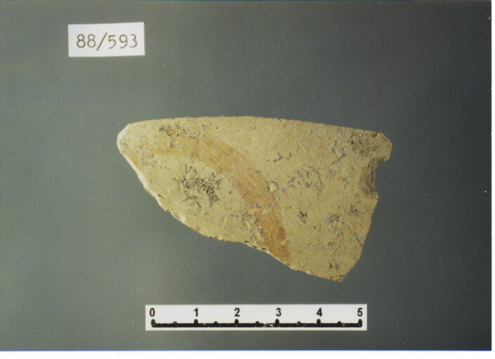 parete - PRODUZIONE ITALIA CENTRO SUD (sec. XIII d.C)