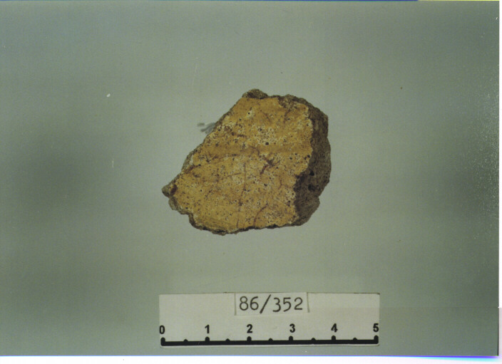 intonaco dipinto - SCUOLA CAMPANA (SECC. XI/ XII D.C)