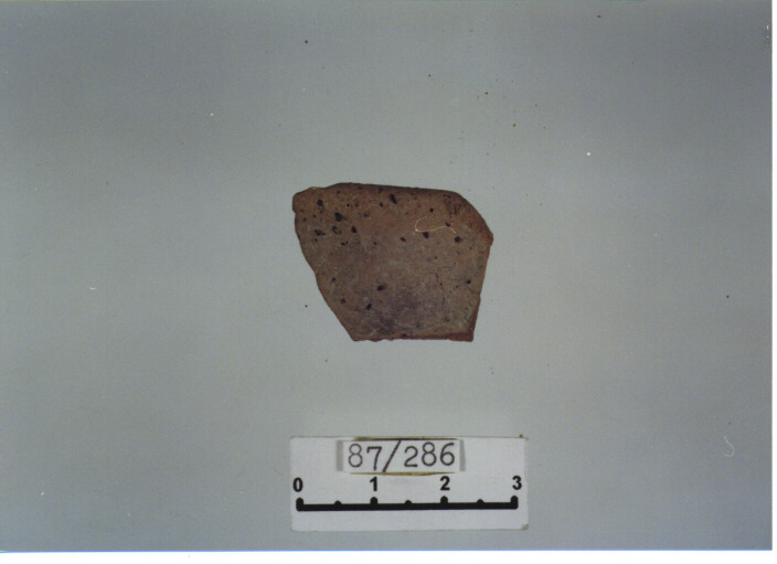 anfora/ orlo (SECC. XII/XIV D.C)